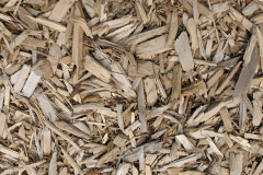 biomass boilers Ynysforgan